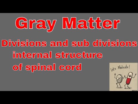 Gray matter |  divisions and sub divisions complete | internal structure of Spinal cord | 2020.