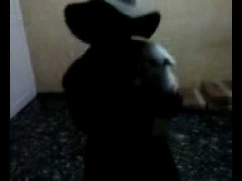 myMarie's film] Kidnapping a puppy-2