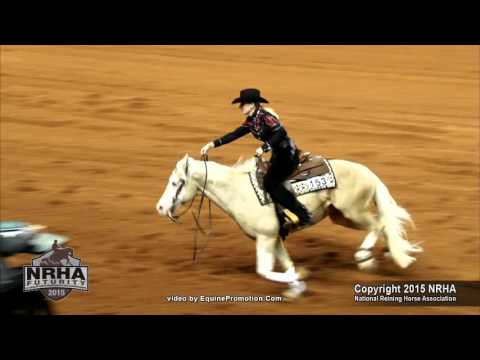 A Stylish Gunner ridden by Melanie K Petroll  - 2015 NRHA Futurity