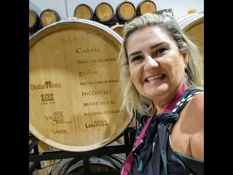 CASA DE SANTAR - CABRIZ PORTUGAL