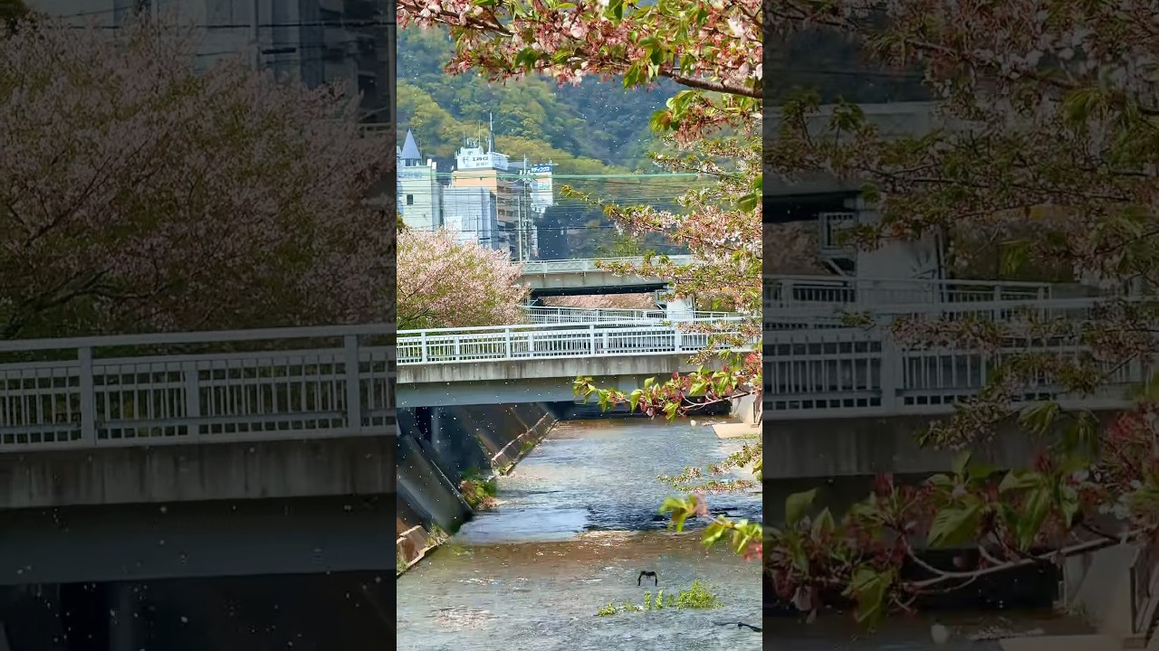 YouTube Short thumbnail