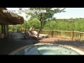 Südafrika Auf Safari Im Madikwe Game Reserve