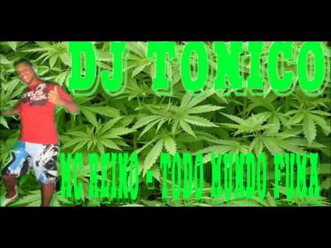 MC REINO   TODO MUNDO FUMA
