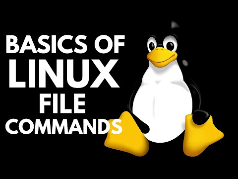 4 File Maintenance Commands in Linux | Linux Essentials to Expert Masterclass | Hunt The Skills