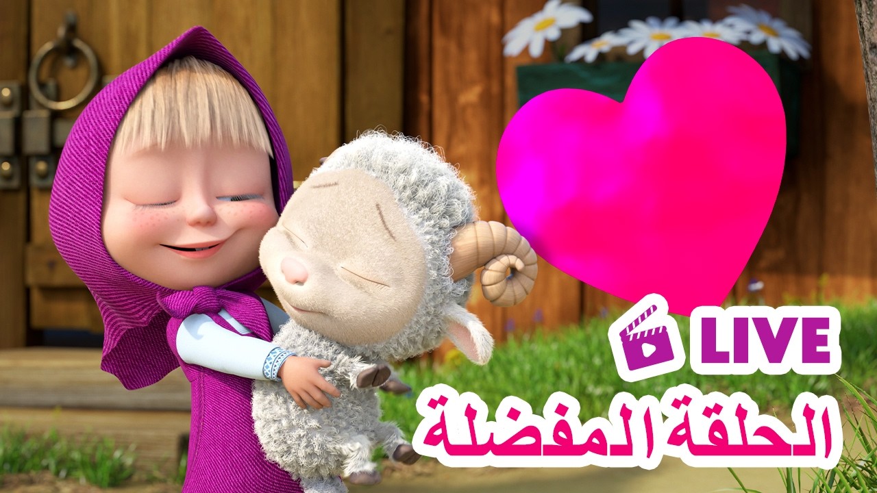 ماشا والدب 🐻👱‍♀️ LIVE STREAM! 🎬 الحلقة المفضلة 🐑✨