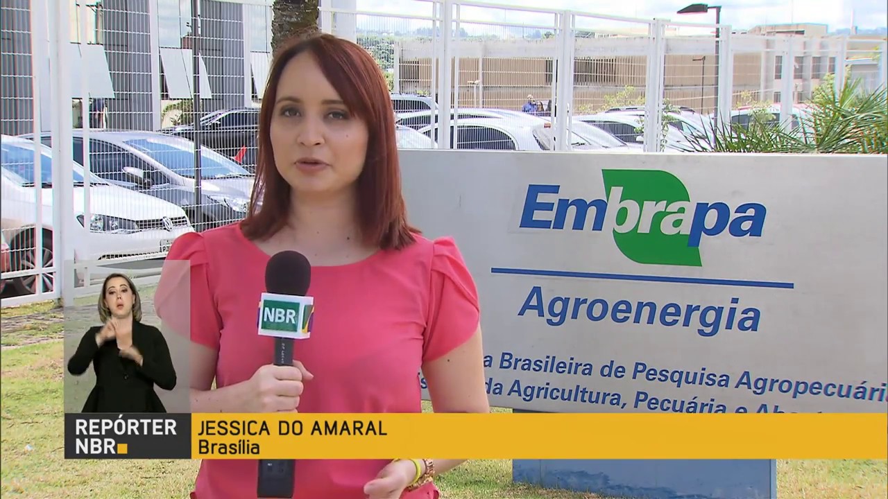 Microalgas podem ser utilizadas para fabricação de biocombustíveis