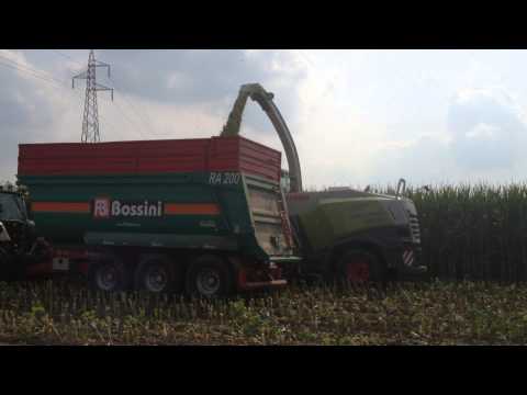 NEW CLAAS JAGUAR 900 2014 powered by TEAM FRACCARI