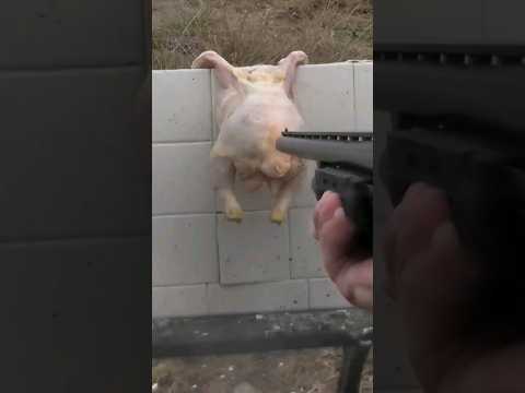 WHY YOU DON'T USE 12 GAUGE SLUGS IN HOME DEFENSE!
