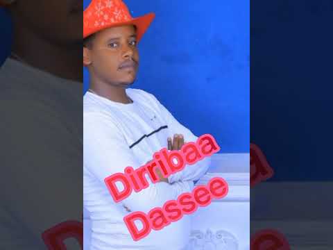 Dirribaa Dassee xiqisseeko 2023