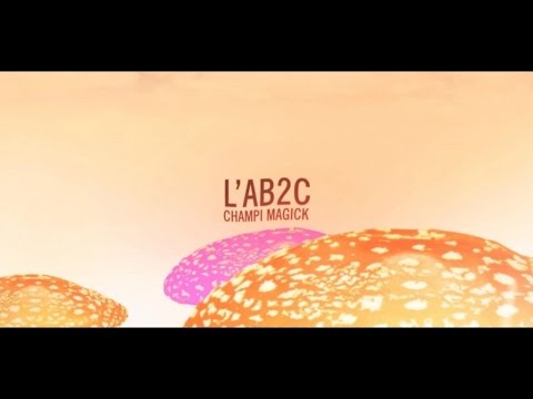 L'AB2C - Champi Magick - Audiophétamine 2017 (Prod. Apolloud)
