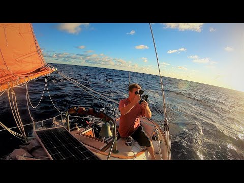 Transatlantic Return, Ep. 5: Signs and wonders of landfall