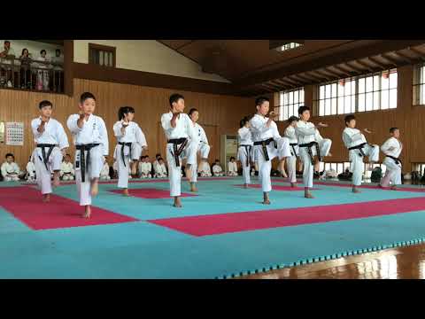 Kata Saifa - Seiwakai Japan