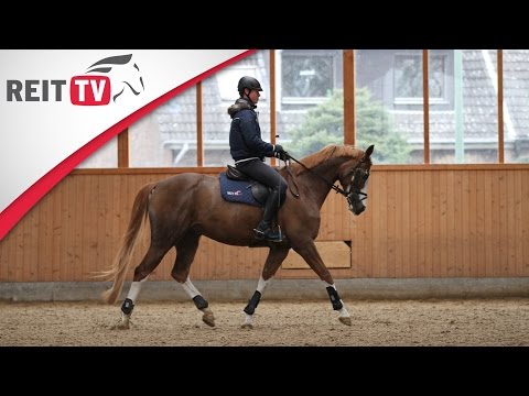 Reiten lernen: Bahnfiguren - Schlangenlinien durch die Bahn, 3 Bögen