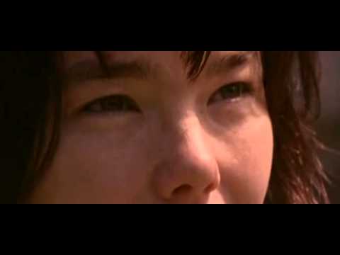 Björk - Scatterheart (with lyrics)