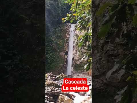 Cascada La celeste, Guayabetal, Cundinamarca #rumboalos100años #naturaleza  #travel #vida #nature