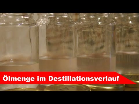 🌷 Ölmenge im Destillationsverlauf 🌻 - ätherisches Öl selber machen - diSTILLed