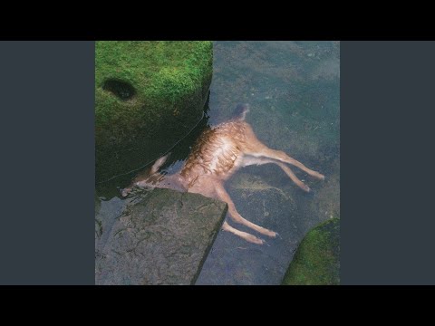 Motel Reflections - Pro Teens