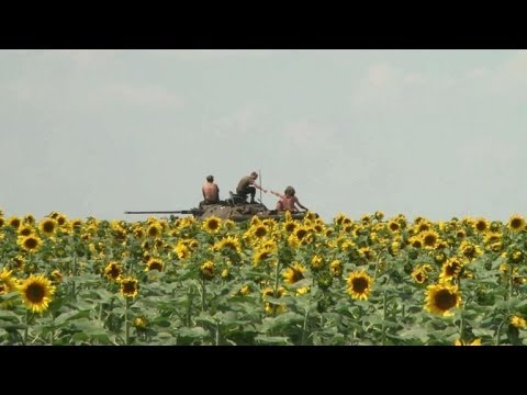Ukrainian army tanks, vehicles mass outside Donetsk