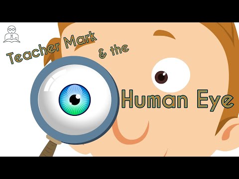 The Human Eye by T Mark