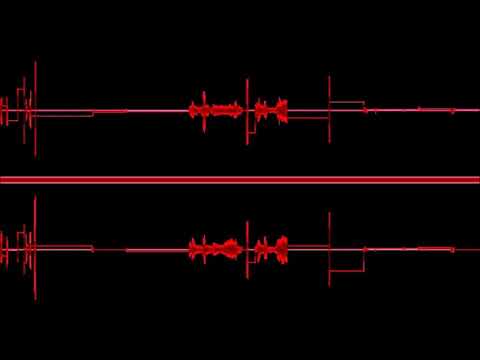 Călin Ioachimescu (*1949): Digital birds (2010)