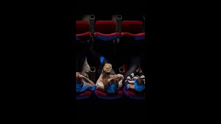YouTube Creators Are Coming to a Theater Near You