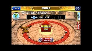 【どこパレ！】Lv１１　最強ごうけつぐま育成計画！＋凶エスターク同種配合チャレンジ！