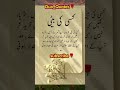 Daughter In Law Quotes Urduquotes Daughterinlaw Motivationalquote Shorts Youtubeshorts Poetry