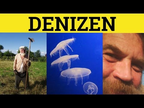 🔵 Denizen - Denizen Meaning - Denizen Examples - Denizen Defined - Formal English - Denizen