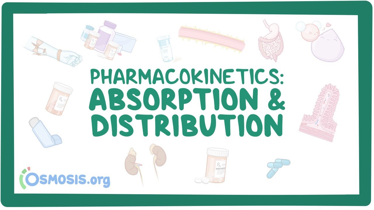 Pharmacokinetics: Drug absorption and distribution