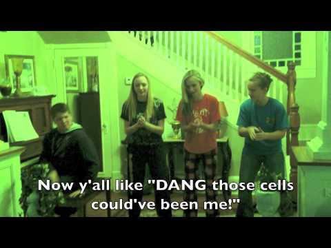 Embryonic Stem Cells Rap