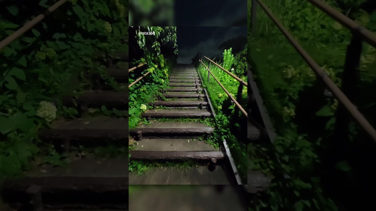 INSTA360 X6 Sample Video (Low light) - YouTube