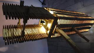 The brief story of PicSat