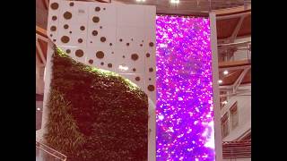 Miniature de la vidéo