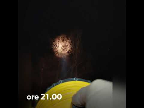 Flash Mob 16 marzo 2020 ‐  Luci dal bosco