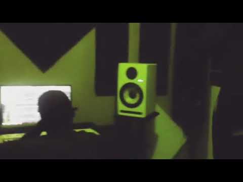 Willer | B2T FREESTYLE |