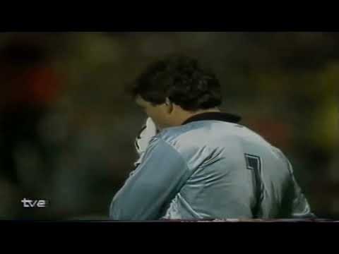 19/4/1989 A.C. Milan-Real Madrid (5-0) Copa de Europa