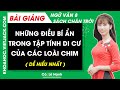 Những điều bí ẩn trong tập tính di cư của các loài chim Ngữ văn lớp 8 Chân trời sáng tạo
