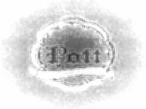 Sander Van Doorn, Bingo Players, SHM, Laidback Luke - Leave The Koko Behind (Pott MashUp).wmv