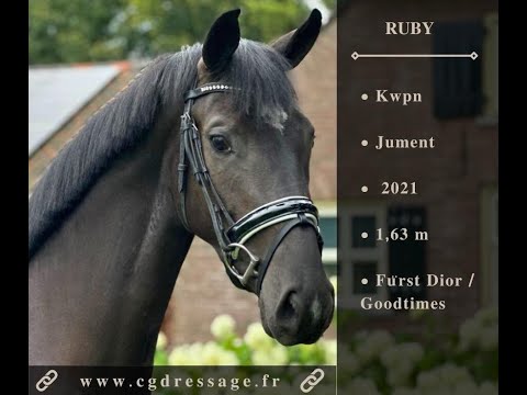 DRESSAGE HORSE FOR SALE - MARE - 𝐑𝐔𝐁𝐘 - 𝐅𝐮̈𝐫𝐬𝐭 𝐃𝐢𝐨𝐫 / 𝐆𝐨𝐨𝐝𝐭𝐢𝐦𝐞𝐬 - 𝟐𝟎𝟐𝟏 - 𝐊𝐰𝐩𝐧