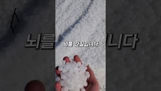 유튜브 썸네일