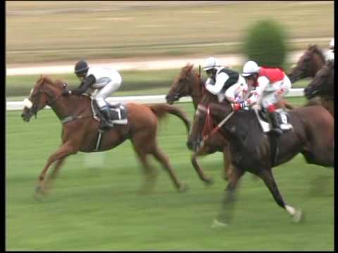 CENA FONDŮ CONSEQ INVEST