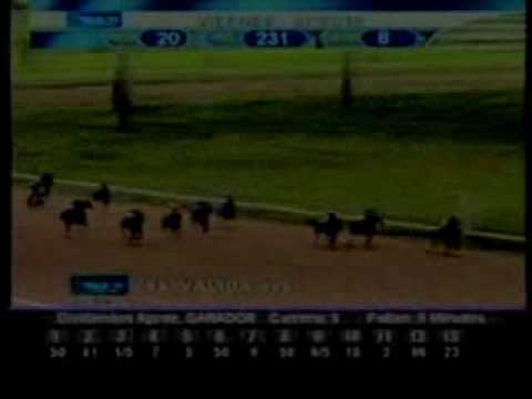 Resumen viernes 14 de mayo 2010 - Valencia