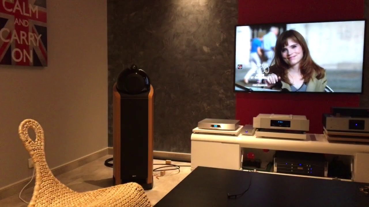 B&W 802, LUMIN U1, METRONOME TECHNOLOGIE CD8S, CODA , GIGAWATT PC2 EVO/DCB, PURIST AUDIO VENUSTAS