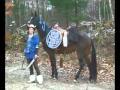 ride_my_pony_low.wmv