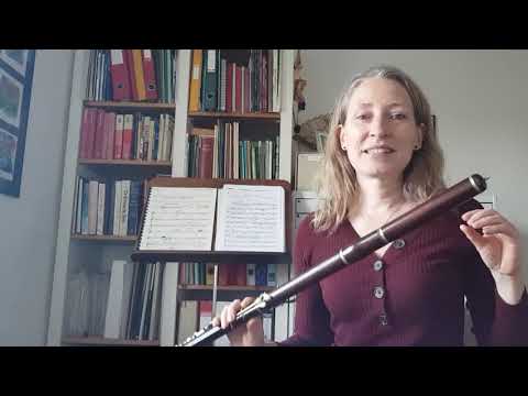 HJEMMEUNDERVISNING - TVÆRFLØJTEN