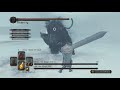 Dark Souls 2 SOTFS - Lud and Zallen, the King's Pets - Boss Fight - Fight with the NPCs (NG+8)