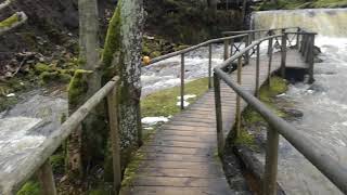 preview picture of video 'Ieriķu dzirnavu dabas taka. Ieriku Mühle Wanderweg. Ieriku mill trail.'