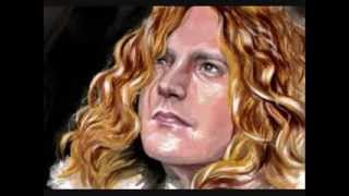 Robert Plant - Other Arms