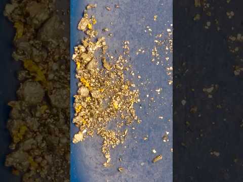 You CAN Roast Quartz to Extract Gold!