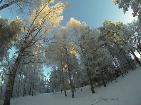 Käviin lenkillä + pyhäipäivä